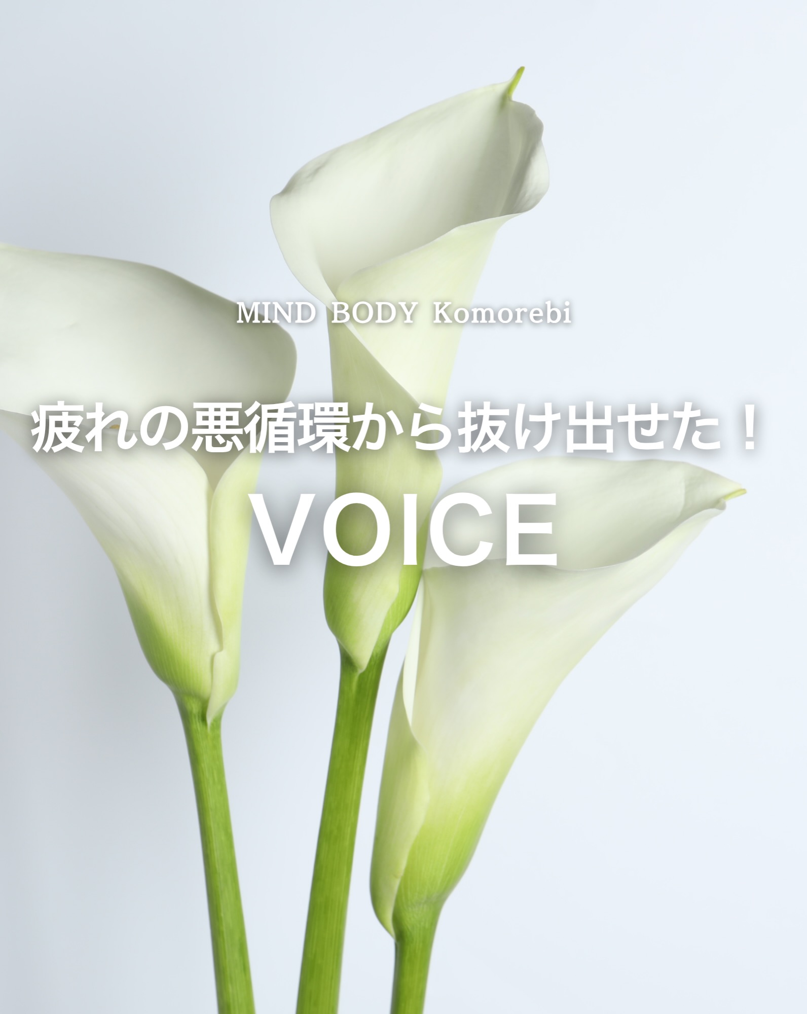 疲れの悪循環から抜け出せた！