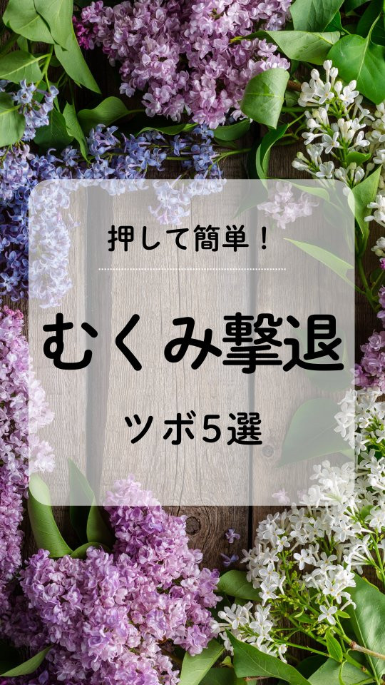 小顔矯正&自律神経整体