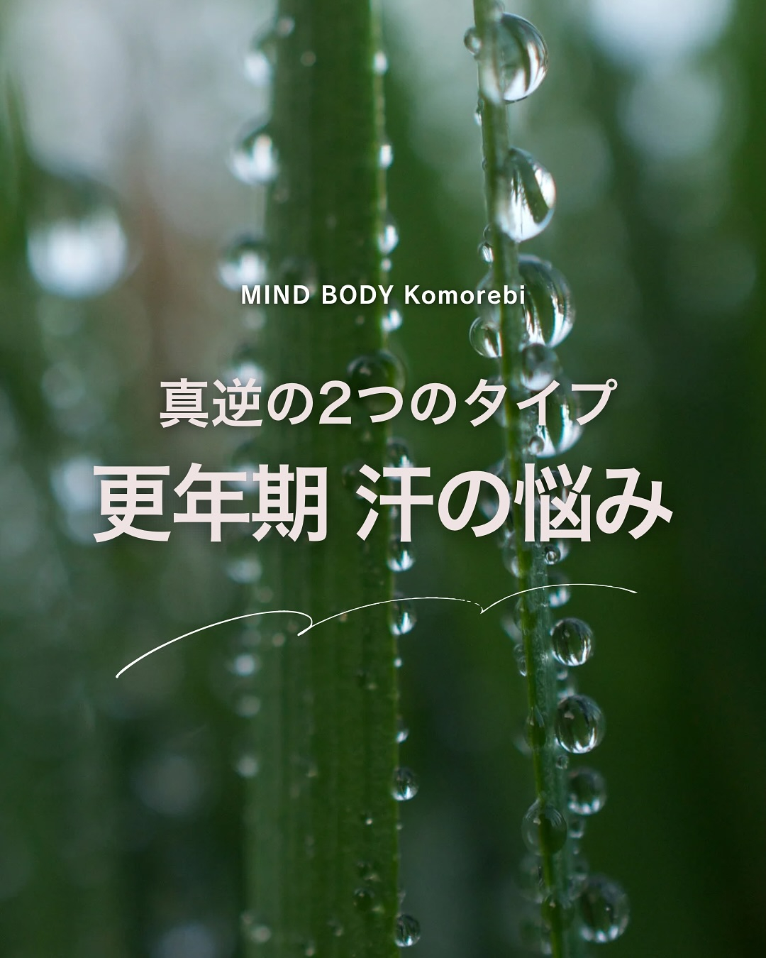 他の投稿はこちらから